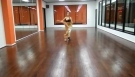 Alabina and Gypsy Kings - Belly dance