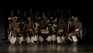 Amabhubesi Traditional Zulu Dance - Zulu dance - Indlamu