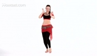 Basic and Shimmy Moves Belly Dance