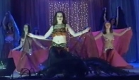 Belly dance Harem