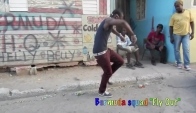 Fly Out - Bermuda Squad Shelly Belly New Dance