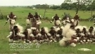 Professional Zulu Dancing - Zulu dance - Indlamu