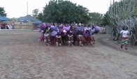 Reed dance an Zulu tradition