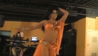Shahid's Belly Dance Harem