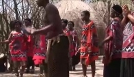 Swasiland zulu dance - Zulu dance - Indlamu
