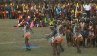 Zulu Dance from Reed Dance Ceremony