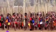 Zulu Umhlanga Reed Dance Ceremony at the Village