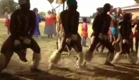 Zulu dance - Indlamu 2014